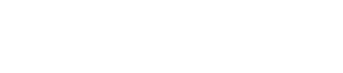 Bullshark
