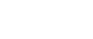 DLV