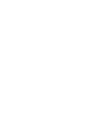 Iron Dog Studio
