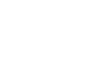 NetGame