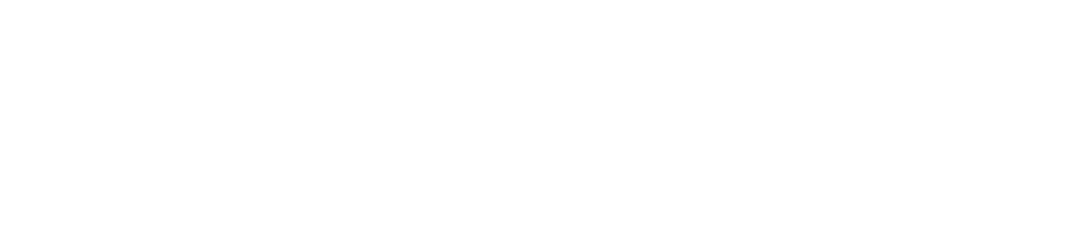 VoltEnt