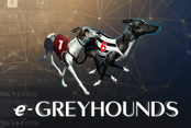 Greyhounds
