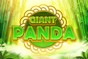 Giant Panda