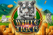White Tiger