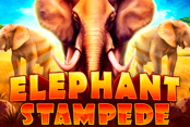 Elephant Stampede