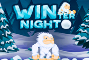 Winter Night