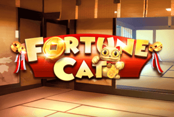 Fortune Cat