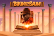 Book Of Sam