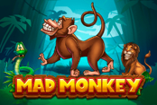 Mad Monkey