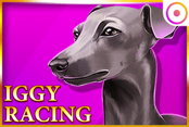Iggy Racing