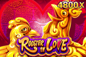 Rooster In Love