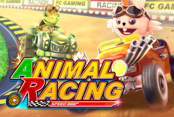Animal Racing