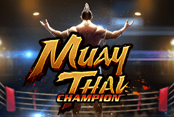 Muay Thai Champion
