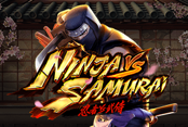 Ninja vs Samurai