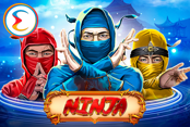 The Ninja