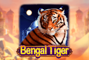 Bengal Tiger