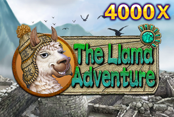The Llama Adventure