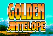 Golden Antelope