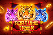 Fortune Tiger