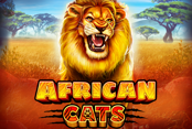 African Cats