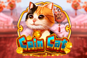Coin Cat