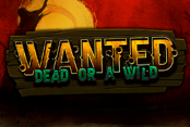 Wanted Dead or a Wild 88%