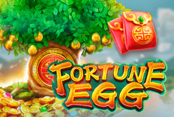 Fortune Egg