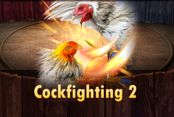 Cockfighting 2