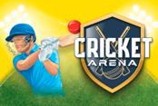 Wicket Blast