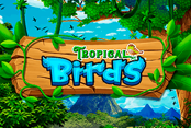 Tropical Birds