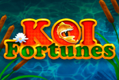 Koi Fortunes