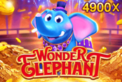 Wonder Elephant