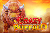 Crazy Buffalo