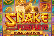 Snake Fortune Hold and Win