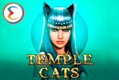 Temple Cats