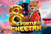 8's Fortune Cheetah