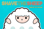 Shave the Sheep