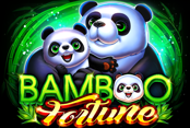 Bamboo Fortune
