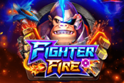 Fighter Fire