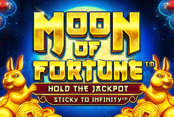 Moon of Fortune™