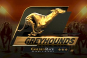 Dog 6 H.Odds