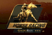 Horses 12 Sprint