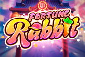 Fortune Rabbit