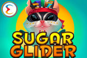 Sugar Glider