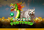 Double Fortunes