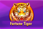 Fortune Tiger