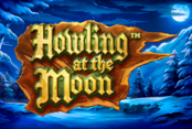 Howling At The Moon