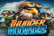 Thunder Birds