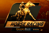 Horses 6