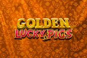 Golden Lucky Pigs